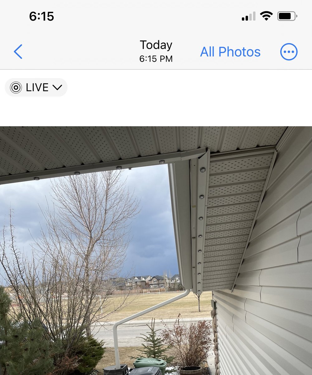LynnibearP's tweet photo. ⁦@CTV_Danielle⁩ No snow in South Calgary right now! https://t.co/l3R9HZfYgx