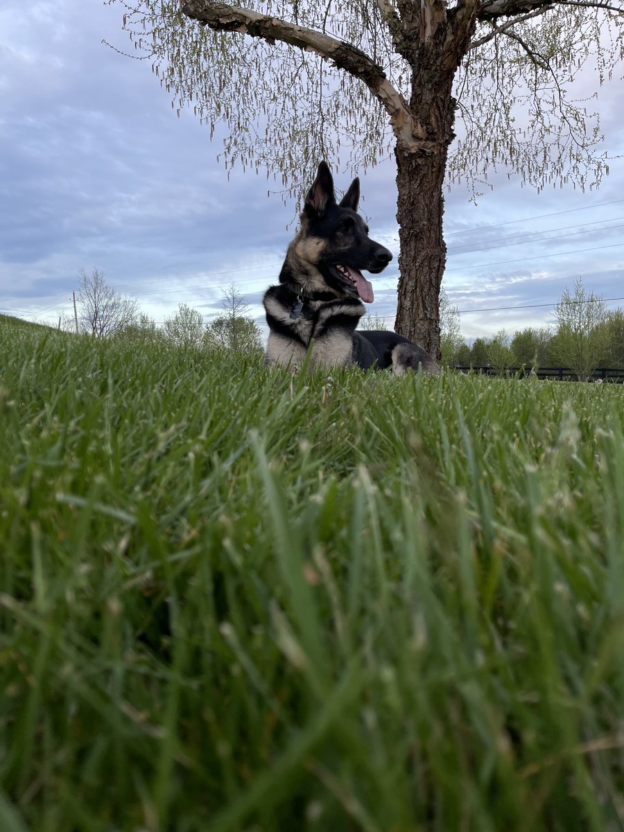 George Shunnara tweet media