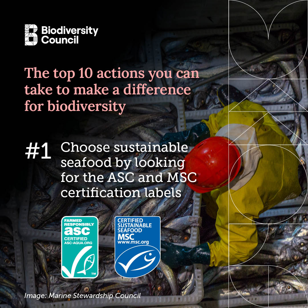 Here are the top 10 EASY actions to make a positive impact for biodiversity.   

Share with your friends and let's get 25 million Australians making these simple lifestyle changes. The benefit for nature would be enormous 😍