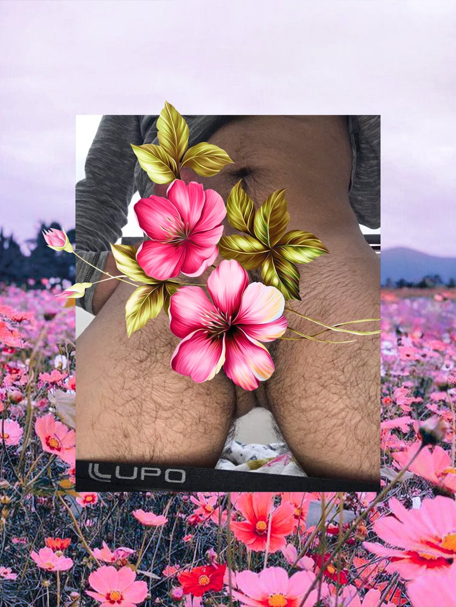 Apolo Ferris tweet media