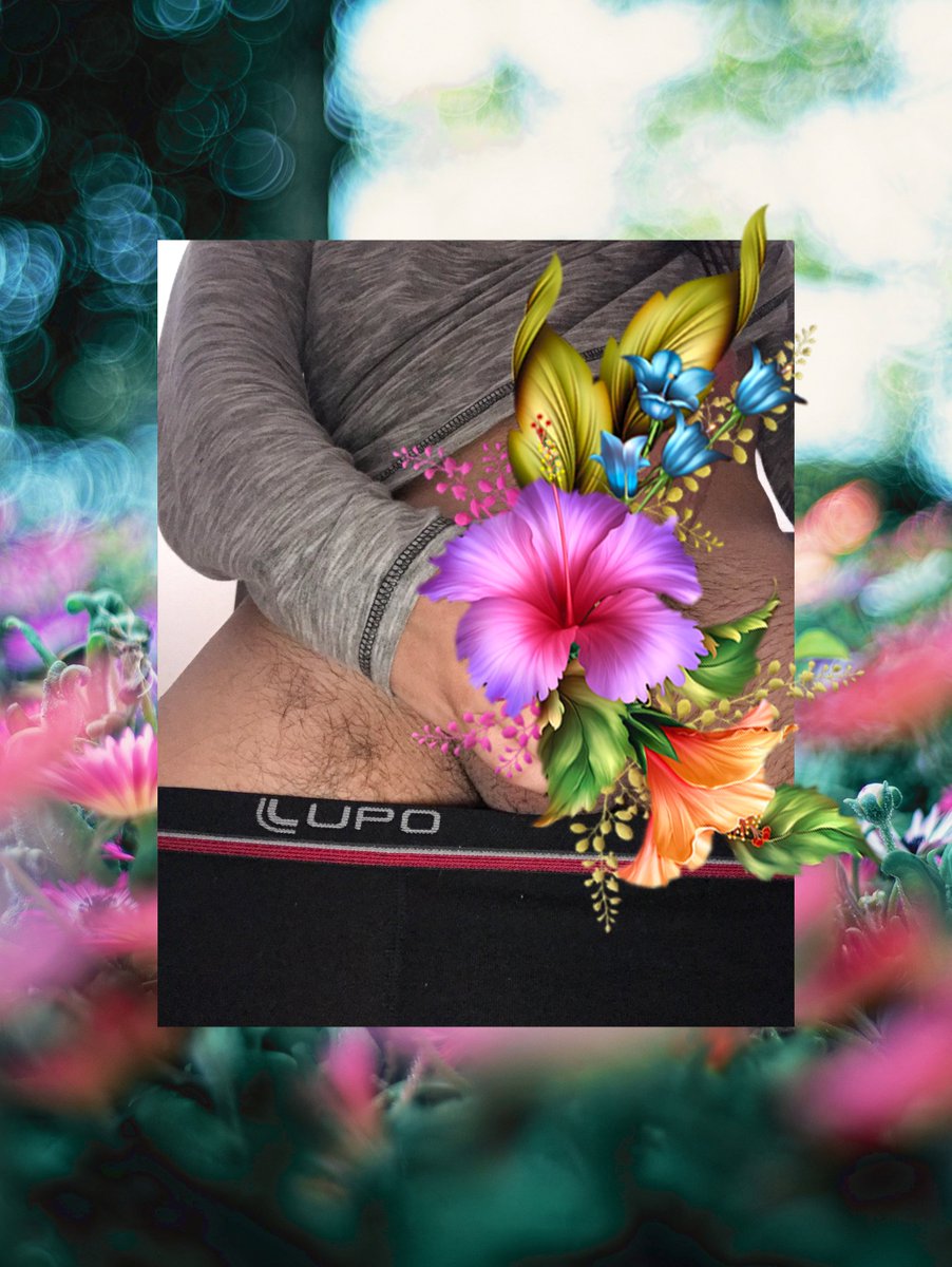 Apolo Ferris tweet media