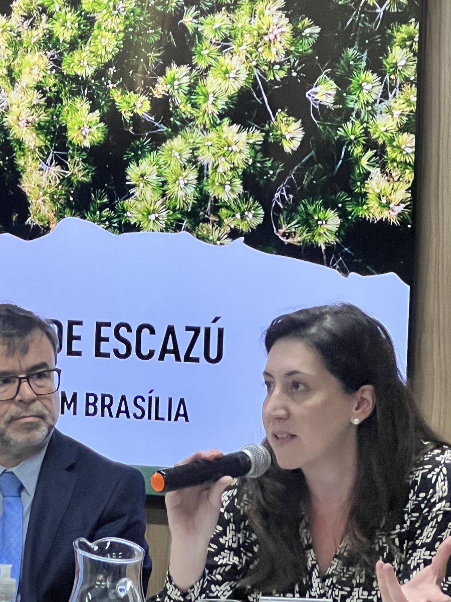 jbuenodearaujo's tweet photo. Hoje estive representa do a #ARAYARA no lançamento do Movimento Brasileiro pelo tratado de Escazú e estive com grandes amigos e atores nacionais da construção da sustentabilidade, meio ambiente e direitos humanos .
@arayaraoficial https://t.co/gFBz9qTIKI