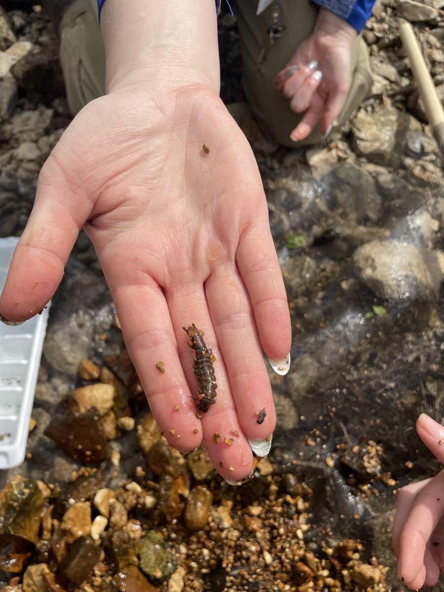 allpsoutdoored's tweet photo. Finding bugs in the water and fly fishing at Clear Creek. #allps https://t.co/QSnPMDCV7K