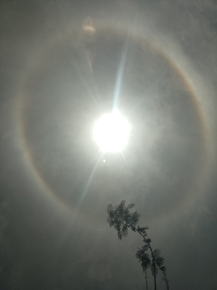 JavierPOspina's tweet photo. #Halosun https://t.co/HuOcZkKBIs