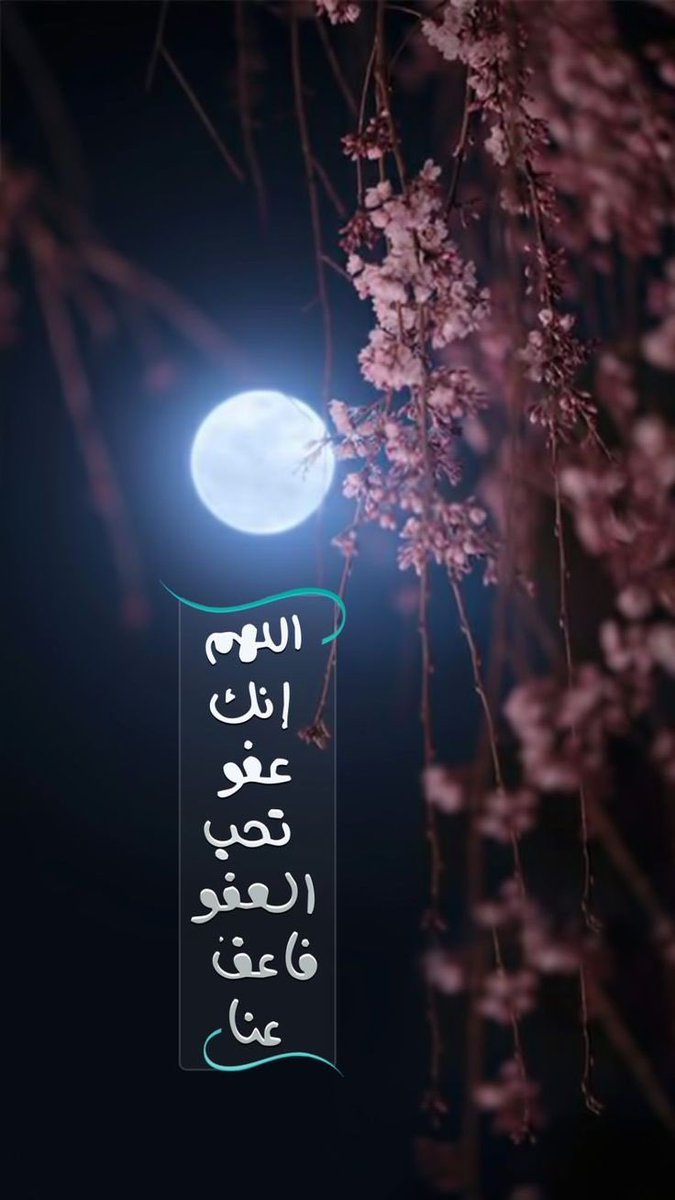 ebrahem951's tweet photo. https://t.co/xiZsc7vqiI