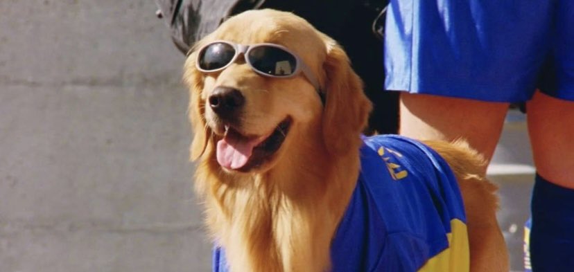 IO_Dylan's tweet photo. I just want someone who I can share pictures of Air Bud with https://t.co/i6yYtgAUER