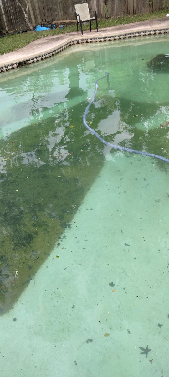 ssj4rRadditz's tweet photo. Another pump out done. I'm pushing 60+ pools a week now on my two routes. Small routes that have plenty of room to grow. 2 great employees taking them on and me making deals with new customers on the daily. It's amazing to see things grow
#pumpout #pools #poolservice https://t.co/n09bLuz33k