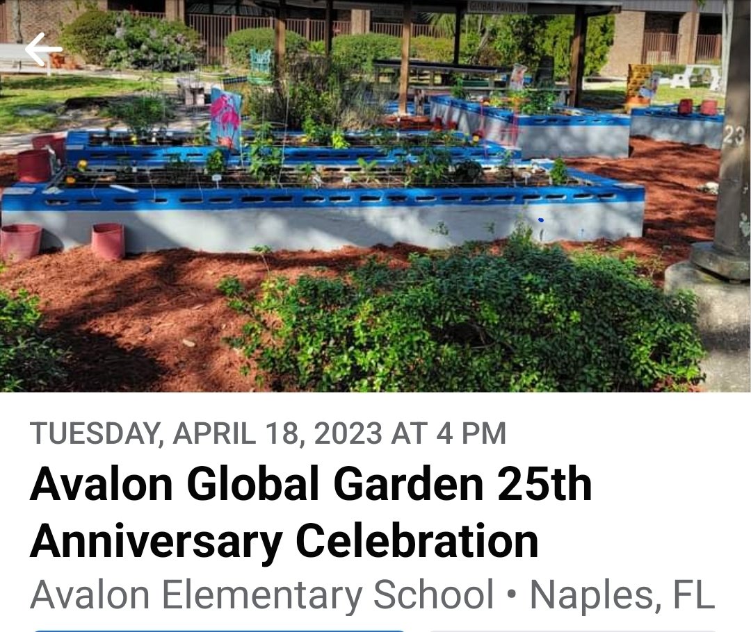 Patti Thorsen (@pattithorsen) on Twitter photo AVE Global Garden celebrates our 25th Anniversary - Tuesday April 18th! 1998-2023! Approximately 13,000+ students have enjoyed this outdoor learning environment! Our motto "It's All About the Food!"🌿<a href="/avedragonstrong/">Avalon Elementary</a> <a href="/collierschools/">Collier County Public Schools</a> #aveglobalgarden AVE Global Garden celebrates our 25th Anniversary - Tuesday April 18th! 1998-2023! Approximately 13,000+ students have enjoyed this outdoor learning environment! Our motto "It's All About the Food!"🌿<a href="/avedragonstrong/">Avalon Elementary</a> <a href="/collierschools/">Collier County Public Schools</a> #aveglobalgarden