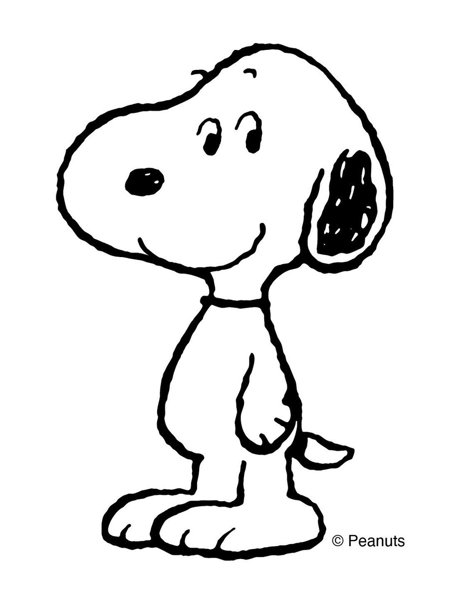 DaeratAnimation's tweet photo. انتشار واسع لصورة كلب اسمه (بايلي) بسبب شبهه الكبير بشخصية (سنوبي) والتي هي في الاصل نسخة مهجنة من نوع كلب مختلف تماماً وكبير جداً 😂 https://t.co/Lh4bxmMNBQ