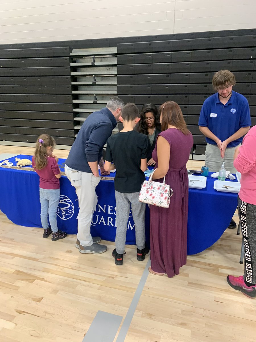 Michael Caraccio tweet media