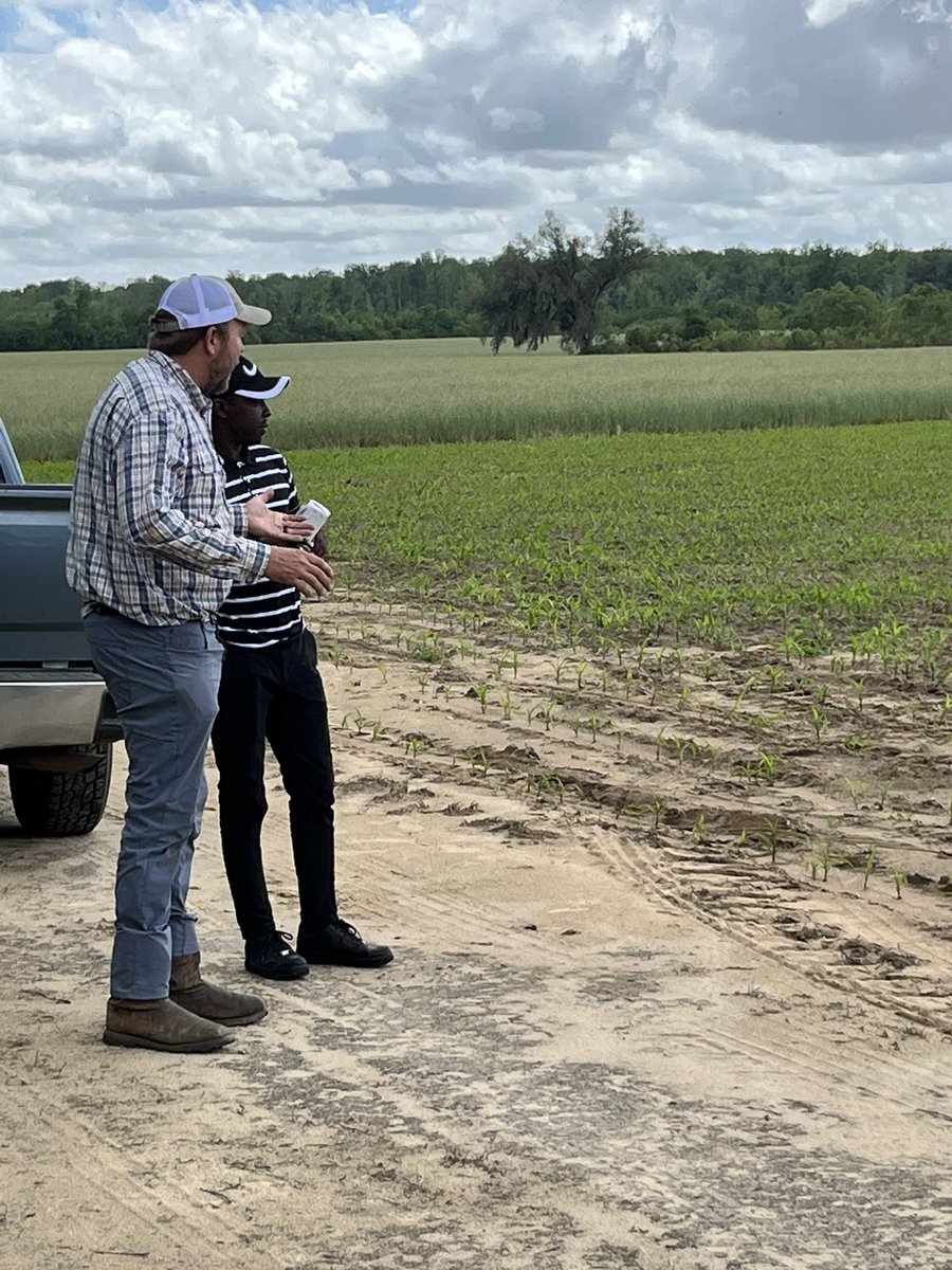 BrendaOrtiz_PA's tweet photo. This week we planted new Variable Rate Nitrogen test to evaluate In-season N recommendation tools. Also met several Alabama farmers to finalize details for varios #PrecisionAg on-farm demonstration tests. #DigitialAg https://t.co/Anb8Sozcdv