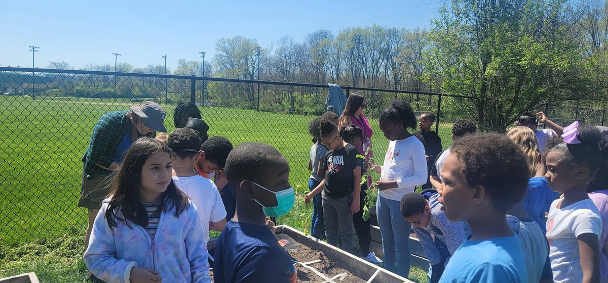 lilvike31's tweet photo. 3rd grade working together to plant more vegetables.  Oh I just love this kind of experience! True authentic learning. #vikingdiff https://t.co/7V0jfC9os5