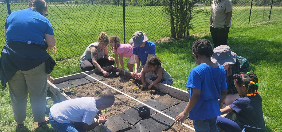 lilvike31's tweet photo. Kinder having a great time planting for the future. #vikingdiff https://t.co/zFgcqTdrMz