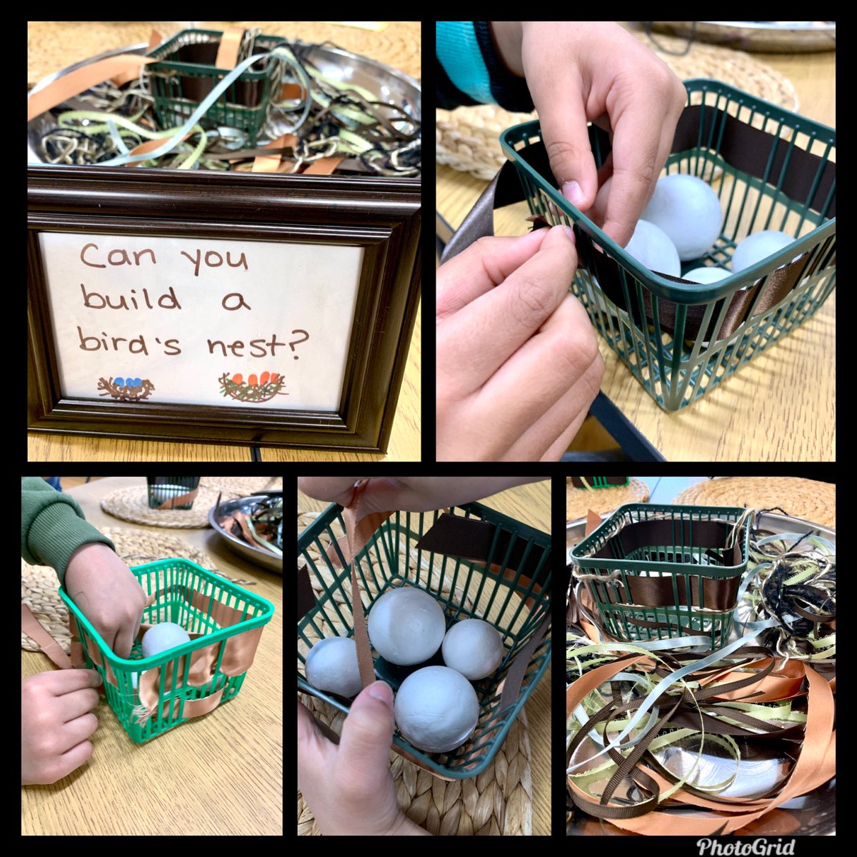 Working on our fine motor skills and strengthening our small muscles in our fingers. Weaving birds nests. One student commented, “It’s like a pattern! In, out, in, out.” <a href="/oakwrdsb/">Oak Creek PS</a>