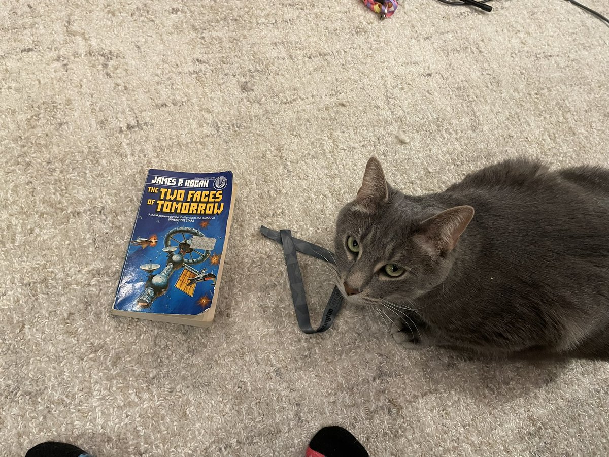 DianeGarland12's tweet photo. Note to self: Do not use cat toy ribbon as a bookmark.
#Charlie #bookmark #learnedlesson #canifindmypage https://t.co/ovUv5PiIIE