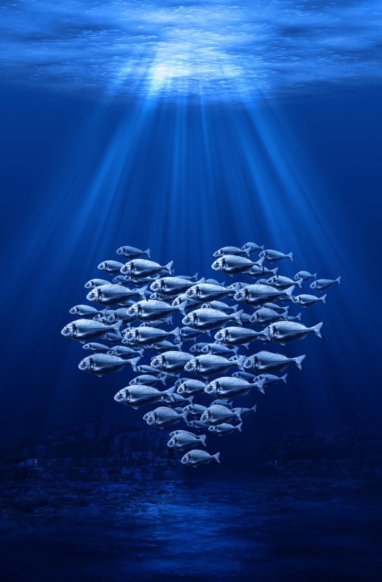 blacktunafl's tweet photo. 🐟Getting ready for 4/20!🐟
We’re gonna drop the biggest catch of the year!
Stand by for an official announcement when we release the freshest catch at your local @Trulieve dispensary of #BlackTuna, #Bluefin yet!!!
#CatchALegend https://t.co/k1U3GPegZh