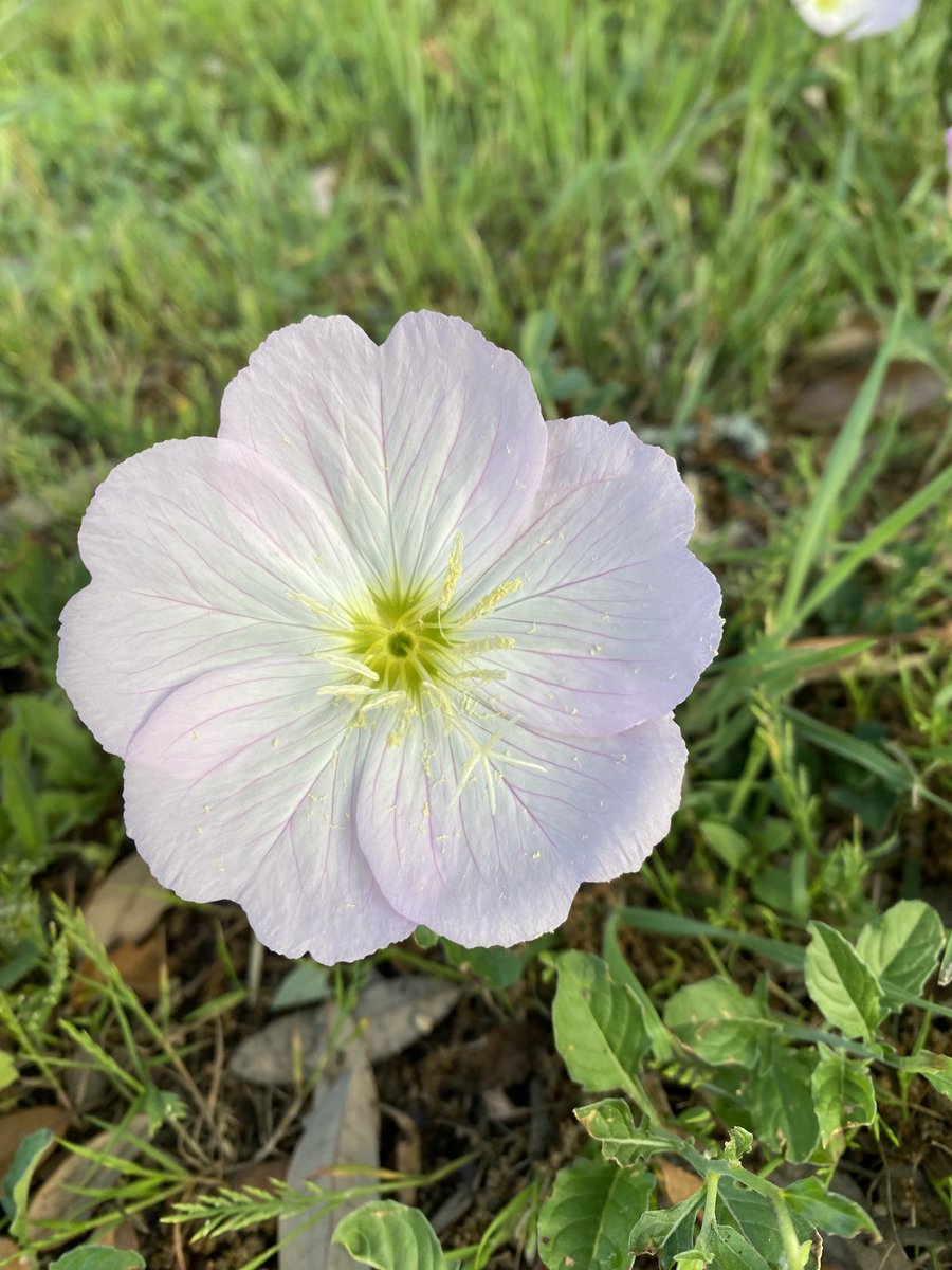 Not here anymore; see the same handle at blue sky tweet media