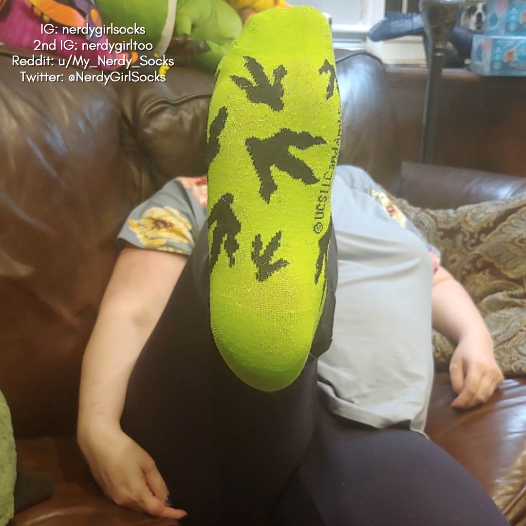 NerdyGirlSocks's tweet photo. #anklesocks #cutesocks #dirtysocks #feet #feetmodels #feetpic #footmodeling #footsie #friendssocks #girlsocks #jurassicpark #jurassicworld #matchingsocks #selfeet #smellysocks #sockfriends #socksgirl #socksoftheday #stinkysocks https://t.co/IfY16F4LOX