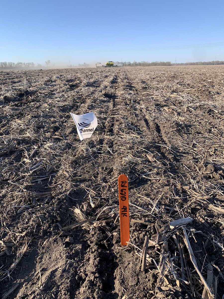 CraigStiens's tweet photo. @Bayer4CropsUS Preceon Smart Corn population trial in the ground this evening. New short-stature corn hybrids replicated at 36k and 44k to see how this system will work in our back yard. #plant23 @ChannelSeed @Channel_MO @alan_lager @ryanagrable @AaronMa75632857 https://t.co/ZiVjG5ykAL
