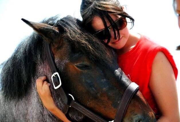 nfld_pony's tweet photo. We need to send some ❤️ to the crew at @downhomelife. They help us so much spreading the word to #newfoundlanders about why this animal is so important to preserve. These ponies helped build this province and we owe them a debt we can never repay. https://t.co/ygg2JaHqTu