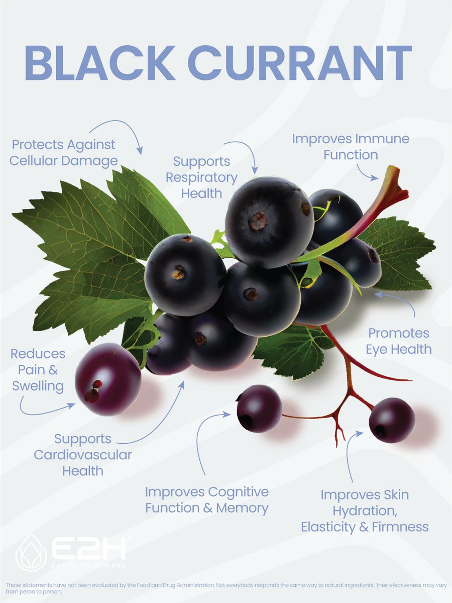 Discover the natural power of black currant! Boost immunity, support heart health, improve eye health, and promote healthy aging with this amazing plant. 
#e2h #blackcurrant #naturalhealth #plantpower #wellness #e2hlifestyle #earthtohumans #health #healthylifestyle #e2hroutines