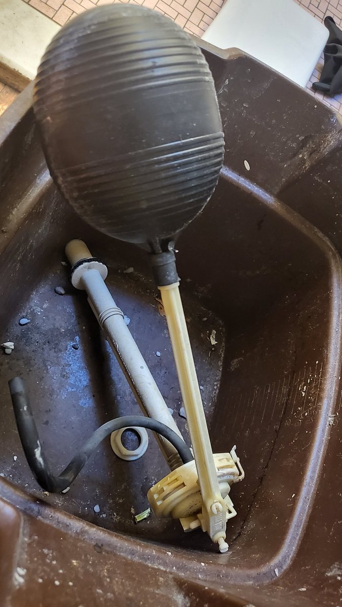 markskull's tweet image. ACHIEVEMENT: UNLOCKED! 

Fully replaced the inside of my toilet today before everything failed. I also added a self-cleaning item to keep the toilet bowl clean!

#FixedMyToilet
#Fluidmaster

Seriously, this isn&apos;t sponsored. I just wound up getting everything from them.