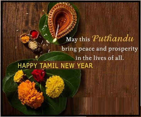 mohanamu979_ram's tweet image. Happy Tamil new to all my friends and family