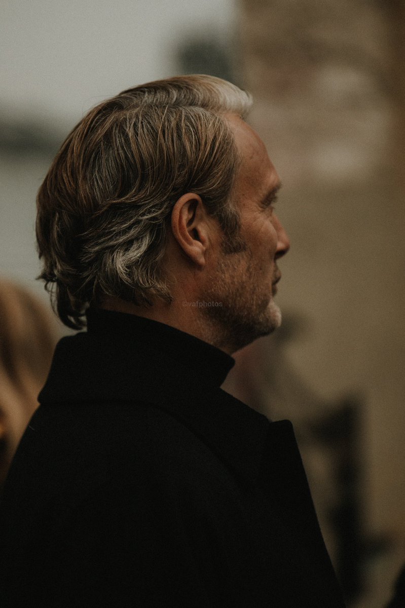 ✨ daisy 🌙 tweet media