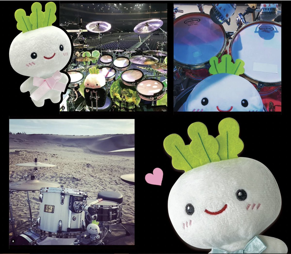 真矢さんオフィシャルキャラクター 『カブちゃんぬいぐるみ』 「晴れた