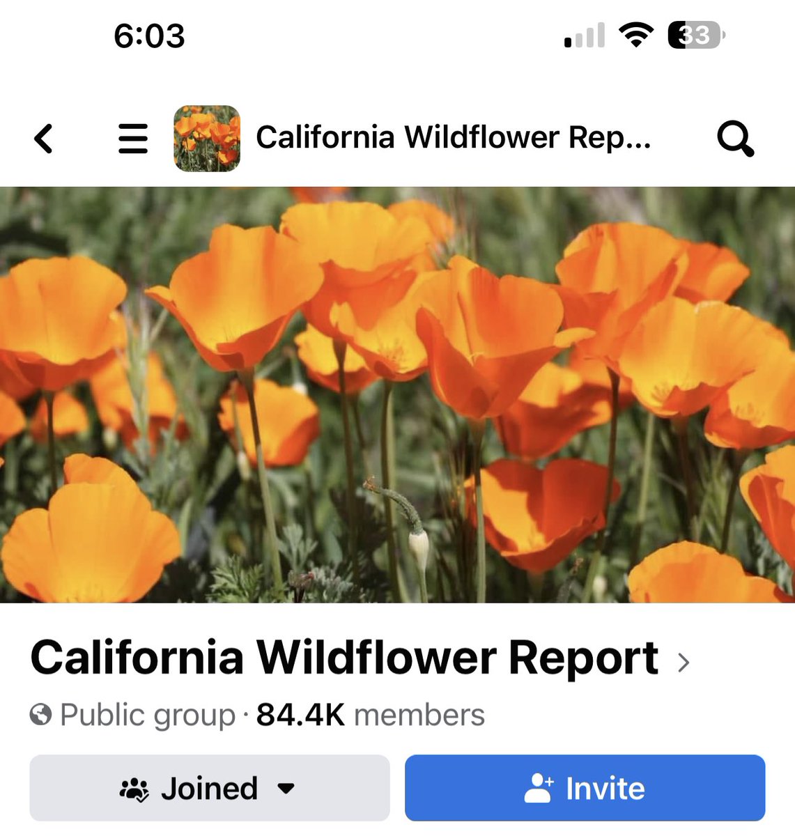 RodneyNinow's tweet photo. @richontech Hey Rich, a great resource for locations is the wildflower Facebook group. https://t.co/RtzQBjlNMT
