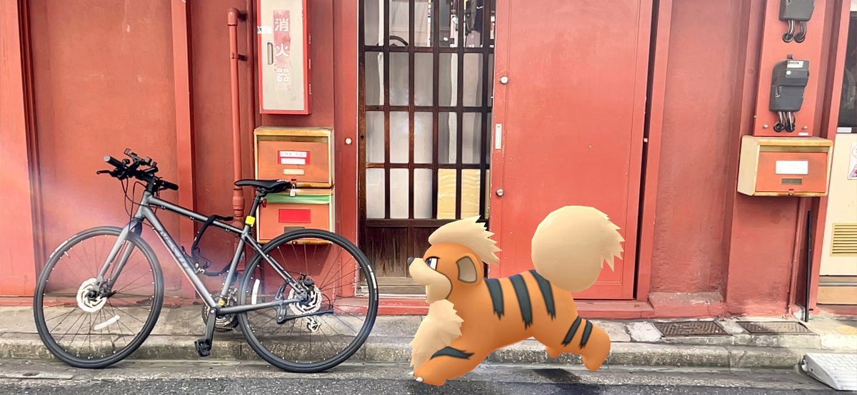 ニャンゴス tweet media