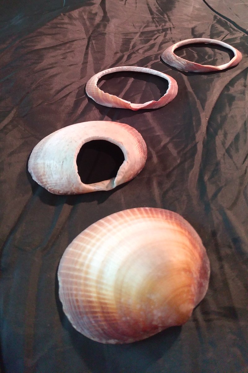 加曽利貝塚博物館 on Twitter 