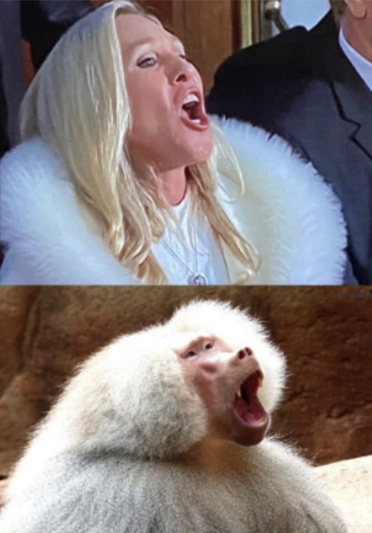 ThomasGaudett13's tweet image. When was the last time I visited the zoo