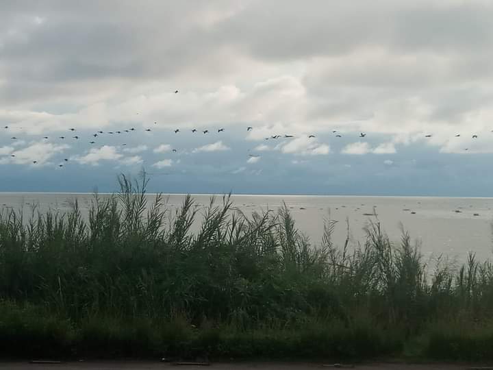 RiseandshineHo1's tweet photo. When in #Burundi,have some #Mukeke fish from Lake #Tanganyika the second-oldest freshwater lake in the world,the second-largest by volume,the second-deepest,in all cases after Lake Baikal in #Siberia,and the world's longest freshwater lake.There're plenty of hotels on its shores. https://t.co/VbtfzZBUUK