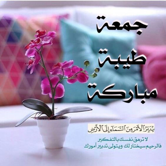 um_salim2020's tweet photo. @umBayan20 جمعة طيبة مباركه صباحكم خيرات وتباشير خير تفرح قلوبكم النقية 💐🌸 https://t.co/GulcpKmO0e
