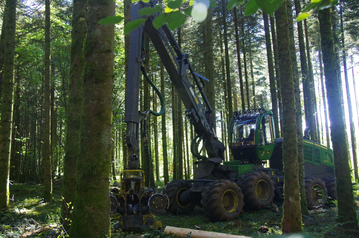 ⚠️ Fransylva soutient les Entreprises de travaux forestiers (ETF), victimes d’une interprétation abusive de l’article L411-1 du code de l’environnement. 🔗 Lire le communiqué de presse de la FNEDT : buff.ly/3UAQzbb 
📸 © FNEDT. 

#LaForêtEnsemble