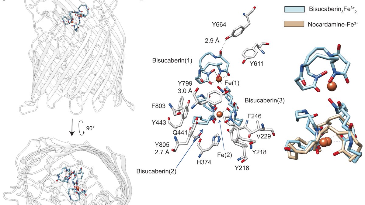 Zach Reitz tweet media