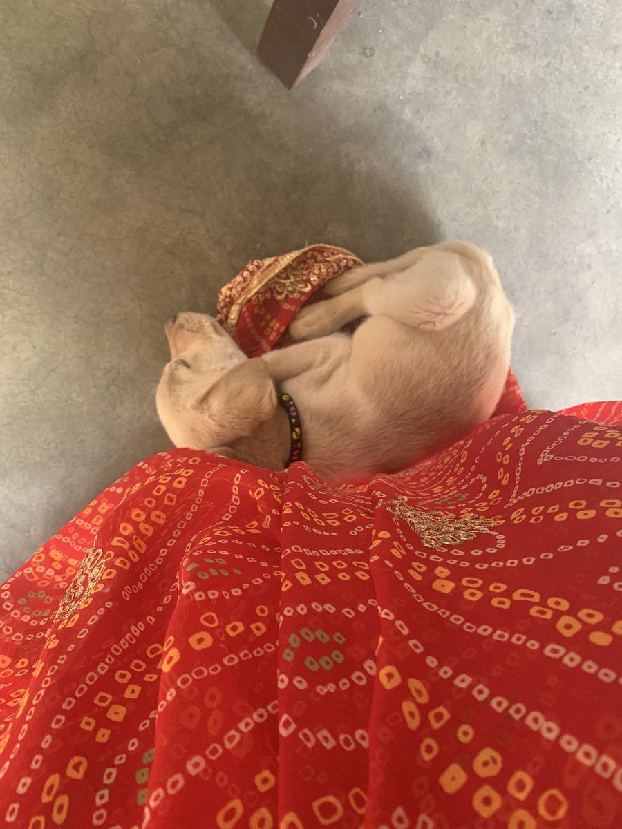 ReRootlife's tweet image. 