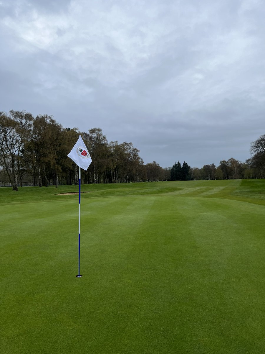 GolfGeek6's tweet image. Super feedback on this years pin choice from the membership. 

@BCFC side of town certainly happier. 

Thanks to @MR_Amenity_Ltd @ParAideRob @ParAide for supplying.