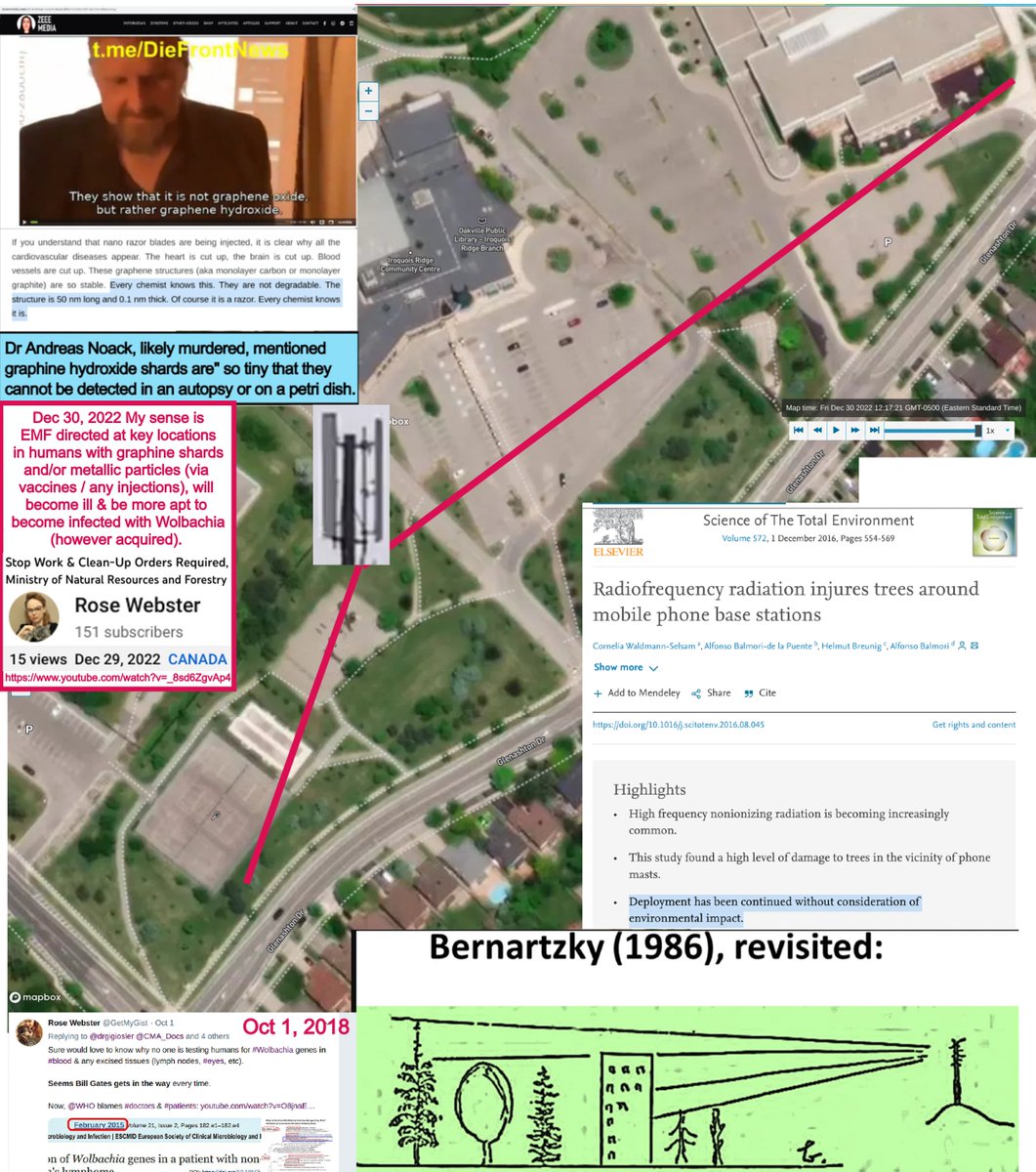 maggini_19's tweet photo. @ChrisSky4Mayor Rose Webster @GetMyGist here ♀️🇨🇦worked in 4🏥.

#SmartCity aka 15-min cities will be death traps. #GeoEngineering concentrated over them, radiation via EMF alleged "5G" + #GraphineHydroxide in💉+ inordinate #Wolbachia = MANY ill 

#LawTwitter @wlao_1919 @LawSocietyLSO @SCC_eng https://t.co/K9AcFnNSFA