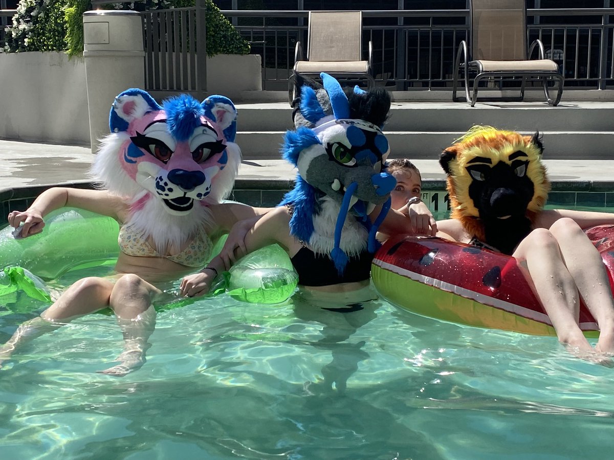 cozziwuskdrago's tweet photo. β’ The three girlies at the poolππ
Suiters in this photo: @shilohans & @mellow_snarls.
πΈ: @S1mp4m1ku + @bearspr1te
-tags
#furry #poolphotos #con #gsfc2023 #retweet #cozzithebluedragon #furryfriends #poolfloaties #thegirls !#goldenstatefurcon #reminiscing https://t.co/WccCaqPxZ4