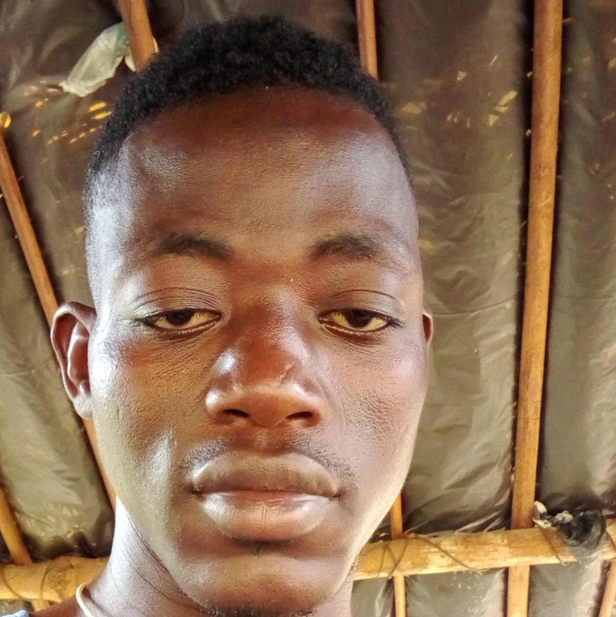 #NouvellePhotoDeProfil