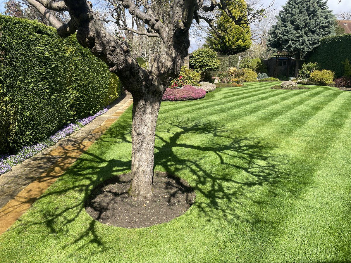 imnickblack's tweet photo. Love the shadow this old Apple tree creates. Winter pruning paying off. https://t.co/OpVNHPztjj