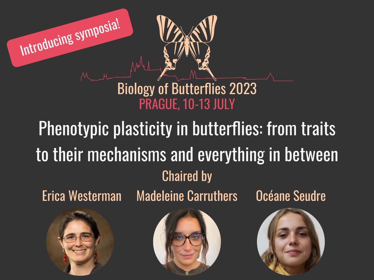 ConfButterfly's tweet photo. Introducing symposia for #BoB2023: "Phenotypic plasticity in butterflies: from traits to their mechanisms" chaired by Erica Westerman, Madeleine Carruthers, and @SeudreO.
Submit your contribution till TODAY!
#butterfly #evolution
Please RT and share with lepidopterists! https://t.co/5RGzRs0j9n