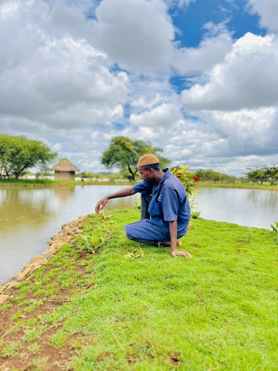 Spring has arrived and we are excited to get outside and plant some beautiful flowers..There’s is nothing more satisfying than watching something you planted grow into something beautiful 
#gardening #mentalhealth #springplant #servalwildlife #westkilimanjaro