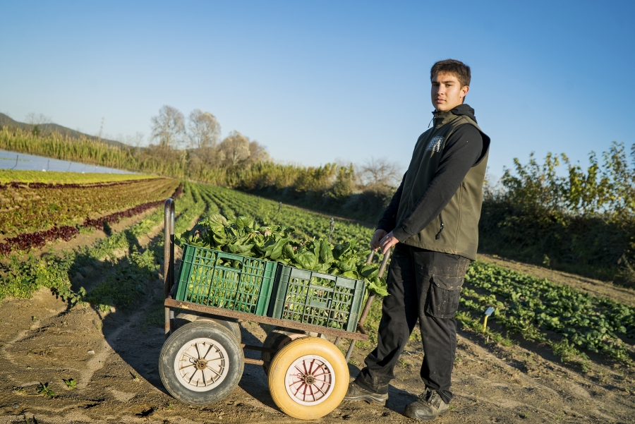 BcnAgraria's tweet photo. 📢Les #EscolesAgràries comencen les preinscripcions  als cicles formatius de grau mitjà i superior:

🚜 Producció agropecuària i agroecològica
🧀 Transformació productes
🍇 Elaboració d'oli i vi
🍃 Medi natural i forestal

Info aquí👇
https://t.co/xcCX5MALMU

#RelleuAgrari https://t.co/qJozVeoOaP