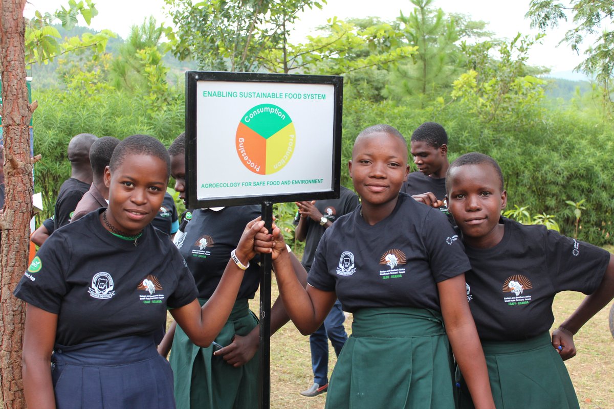 ESAFF Uganda tweet media