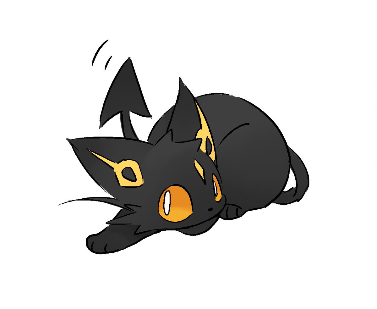 🐱🐱🐱