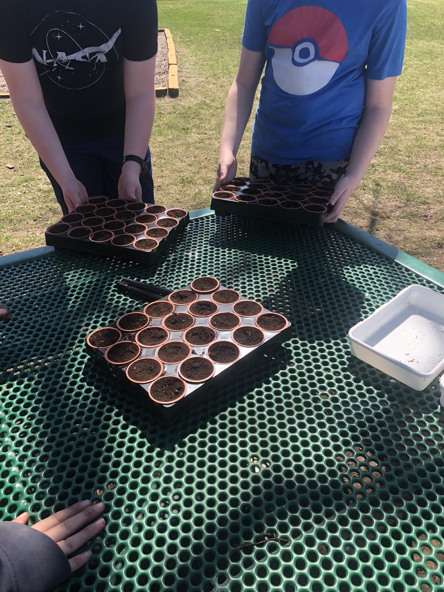 FatimaLeal21's tweet photo. What a fun day of planting tomatoes from outer space with @NathalieShep11 class and building bees that pollinate flowers (using KD cheese) with @TarikOmar13 class. So blessed to work with teachers that love to think outside the box. @CaradocPS #tvdsbstem #tvdsbscience https://t.co/OT690osxth
