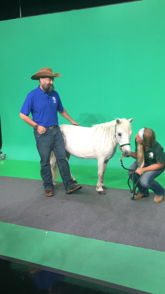 HoustonSPCA's tweet photo. Opal, the mini horse, stole hearts on @FOX26Houston with her cute tricks and charming personality. She's available for adoption and would make a great addition to any family. MEET OPAL: https://t.co/Tl8MjgoEqH
#HoustonPets #MiniHorse #Adopt #AdoptMe https://t.co/TgJksmFVUi